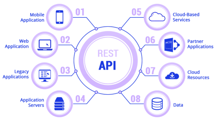 Full Stack Web Developer