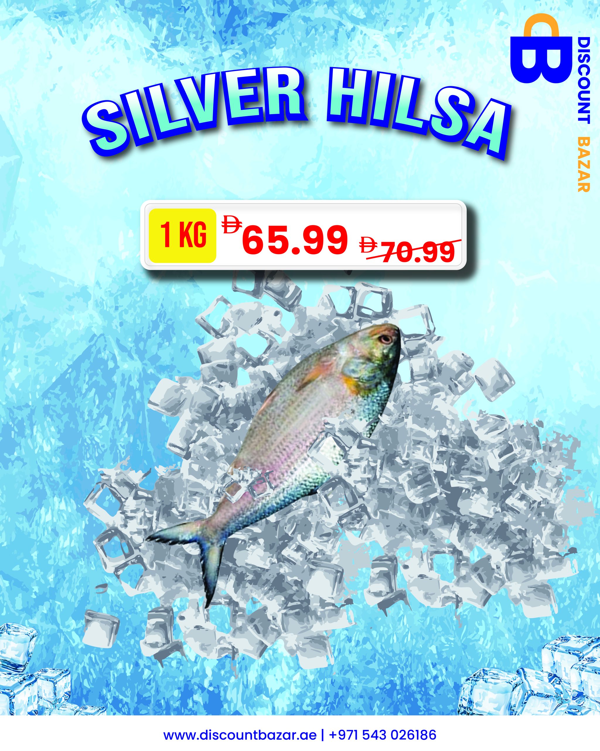 Portfolio 11 Silver Hilsa Poster scaled